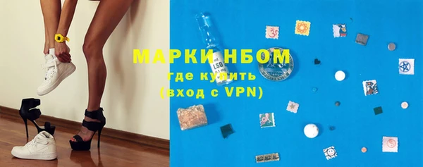 гашик Белокуриха