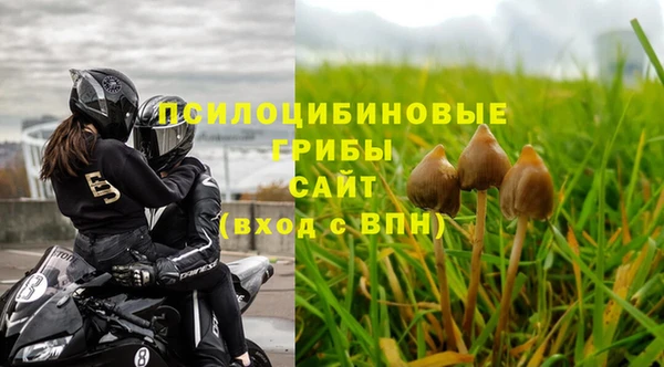 гашик Белокуриха