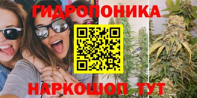 дживик Кимры
