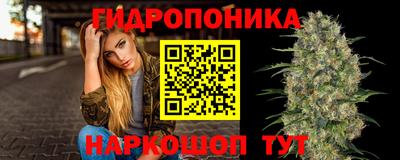 дживик Кимры