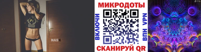 omg tor  Реж  Псилоцибиновые грибы Psilocybine cubensis 